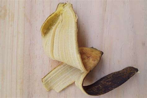 My Dog Ate a Banana Peel: Signs, Complications, & Risks | Pet Keen