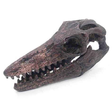 Replica Mosasaurus Mini Dinosaur Fossil Skull – Stemcell Science Shop