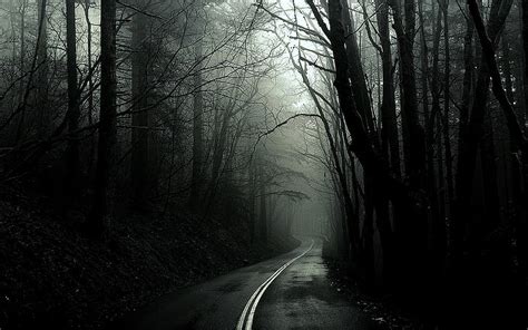 HD wallpaper: black, dark, forest, monochrome, roads, trees, white | Wallpaper Flare