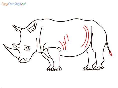 How To Draw A Rhino Step by Step - [9 Easy Phase]