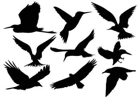 Flying Bird Silhouette Vectors - Download Free Vector Art, Stock Graphics & Images