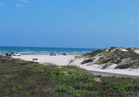 Are Dogs Allowed On South Padre Island Beaches