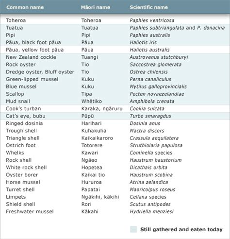 Shellfish eaten by Māori – Mātaitai – shellfish gathering – Te Ara Encyclopedia of New Zealand