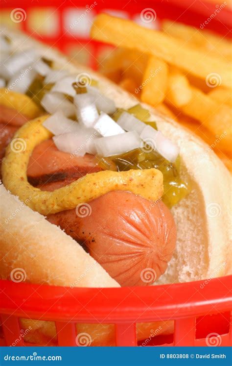 Hot dog with condiments stock photo. Image of condiment - 8803808