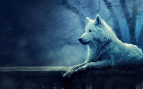 White Wolf Desktop Wallpapers - Top Free White Wolf Desktop Backgrounds - WallpaperAccess