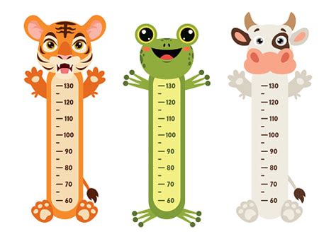 Height Chart With Cartoon Animals Stock Illustration - Download Image Now - Wall - Building ...