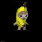 banana cat Meme Generator - Imgflip