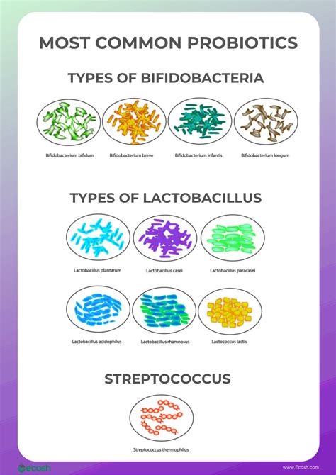 PROBIOTICS - 40 Health Benefits of Probiotics and 20 Top Probiotic ...