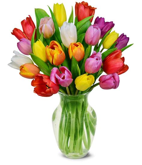 Rainbow Tulip Bouquet - 20 Stems at From You Flowers