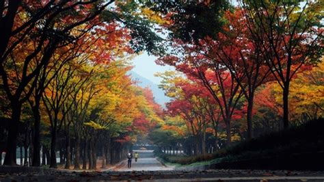 The Best Attractions in Incheon – A Day Trip Itinerary – Korea Tours by Aaron