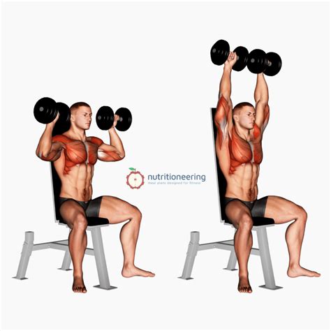 Seated Dumbbell Shoulder Press - How to Fix Your Form