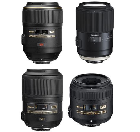 Best Nikon Macro Lenses | Camera Times