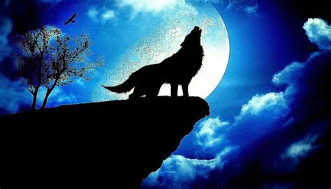 🔥 [40+] Wolf Full Moon Wallpapers | WallpaperSafari