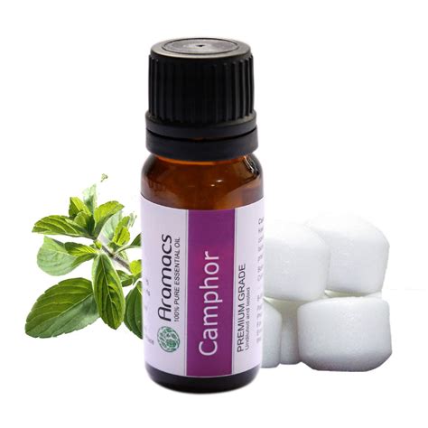 Camphor Facts and Health Benefits