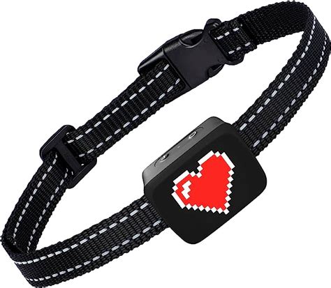 The Best Dog Collars For Barking - Dogtime