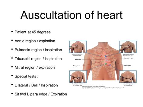 Heart Murmurs — Take Aurally