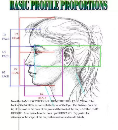 27 Trendy Drawing Faces Proportions Art Lessons