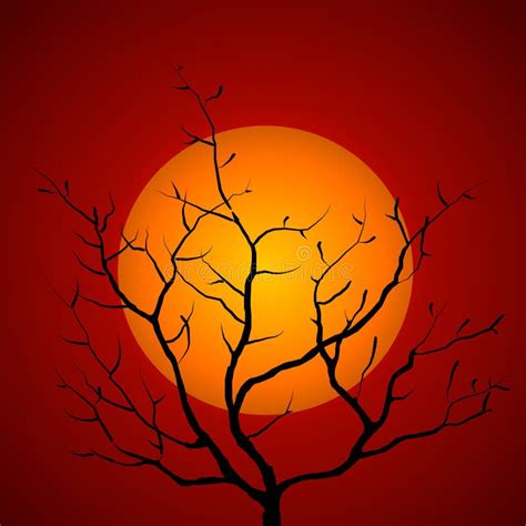 Tree Branch Silhouette Sunset Stock Illustration - Illustration of artistic, colorful: 2719699