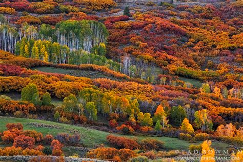 2013 Colorado Fall Colors Trip | Tad Bowman