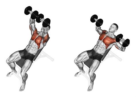 Incline Dumbbell Press For Adding Mass To Your Upper Chest