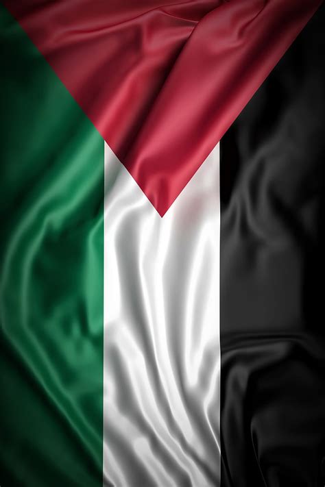 Palestine flag, dark, beautiful, palestine flag, HD phone wallpaper ...