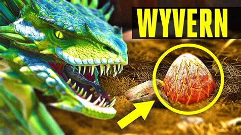 How To Hatch Wyvern Egg - howtoszq