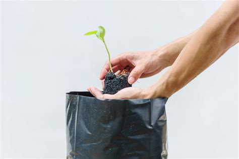 How To Use Grow Bags in Your Garden | Family Handyman