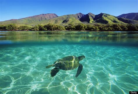 Maui Voted Best Island In The World... And Has Been For The Last 20 Years | HuffPost Life