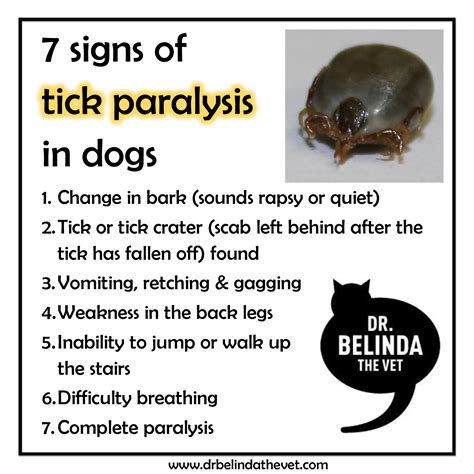 Dogs Tick Paralysis | Dog Breeds Picture