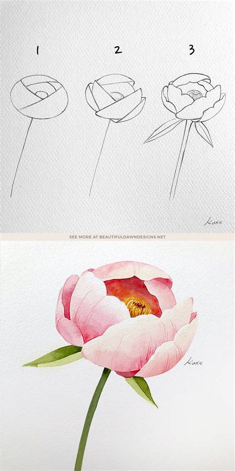 How To Draw A Flower Step By Step With Pictures