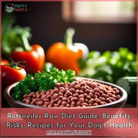 Rottweiler Raw Diet Guide: Benefits, Risks, Recipes for Your Dog's Health