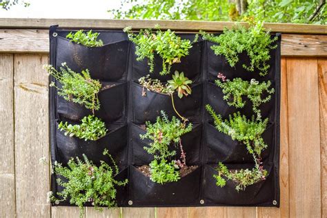 28 Unique DIY Vertical Garden Ideas to Try