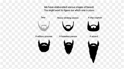 Beard Growth Stages