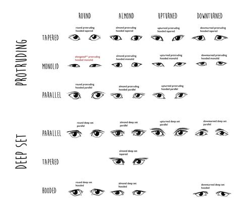 Different Eye Shapes And Meanings