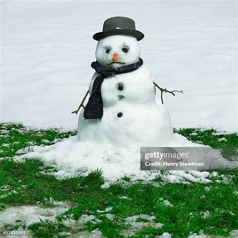 320 Melting Snowman Stock Photos, High-Res Pictures, and Images - Getty ...