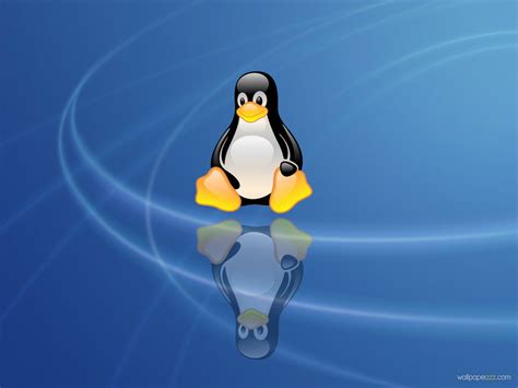 🔥 [50+] Linux Penguin Wallpapers | WallpaperSafari