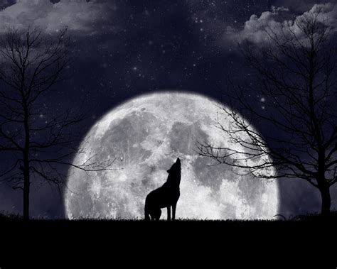 Wolf Howling At The Moon Wallpaper - WallpaperSafari