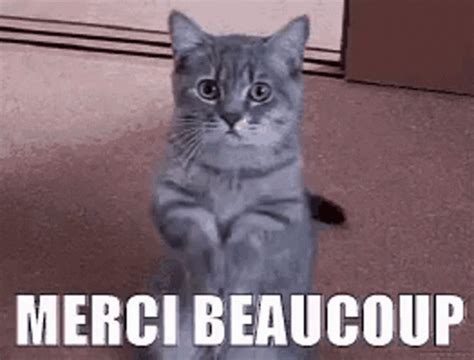 Merci Cat GIF – Merci Cat Peace – discover and share GIFs