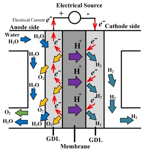 Proton Exchange Membrane Fuel Cell Diagram