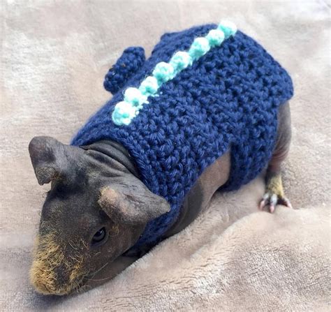 Guinea Pig Dinosaur Costume Alligator Costume Crocodile - Etsy