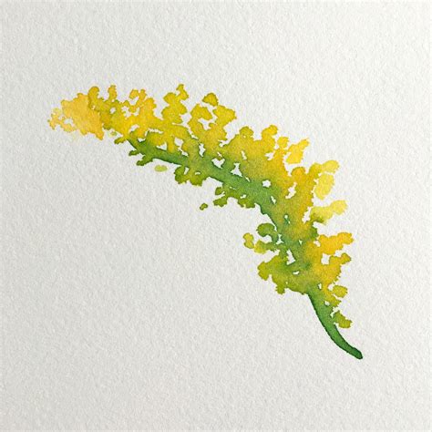 Goldenrod Drawing at GetDrawings | Free download