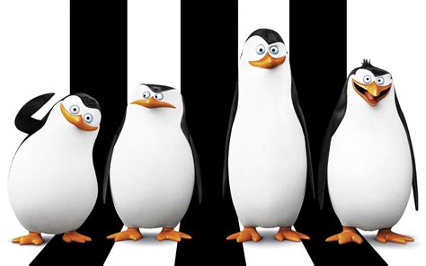 Madagascar penguins, penguins, Madagascar (movie), movies, Penguins of Madagascar HD wallpaper ...