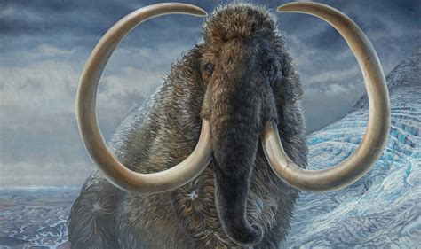 Life of a woolly mammoth retraced thanks to 17,000-year-old fossilized tusk - Study Finds