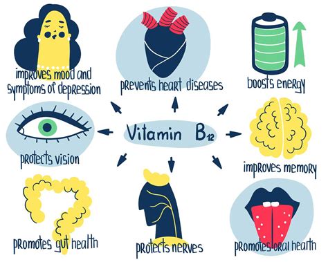 The Importance of Vitamin B12 To Our Body | WellCome Om Integral Healing & Education Center