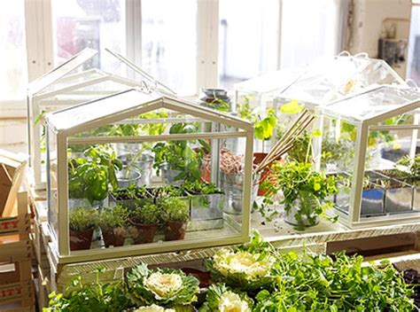 Mini Greenhouse by IKEA