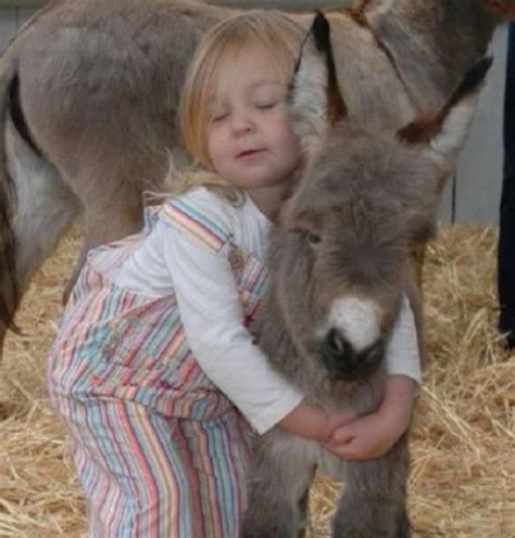 Pygmy Donkey as Guard Pet and Best Buddy » Reach Unlimited