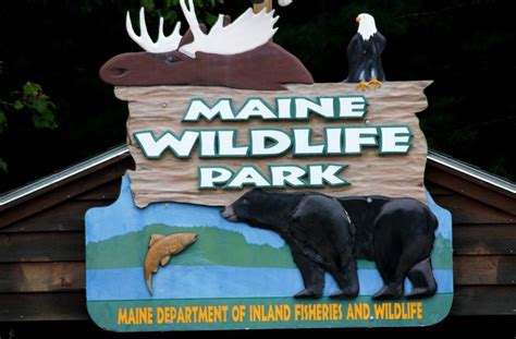 White Cedar Inn Today: Maine Wildlife Park