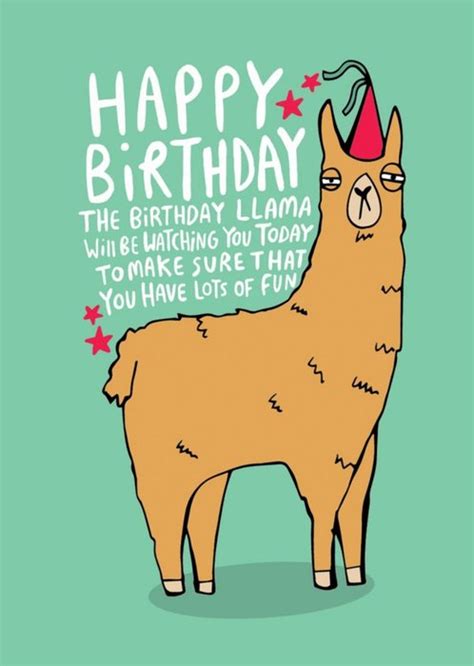 Illustrated Llama Happy Birthday Card | Moonpig