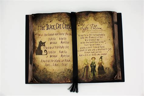 Haunted Witch Hocus Pocus Human Skin Spell Book - seensociety.com