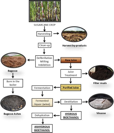 Bioethanol Production Flowchart